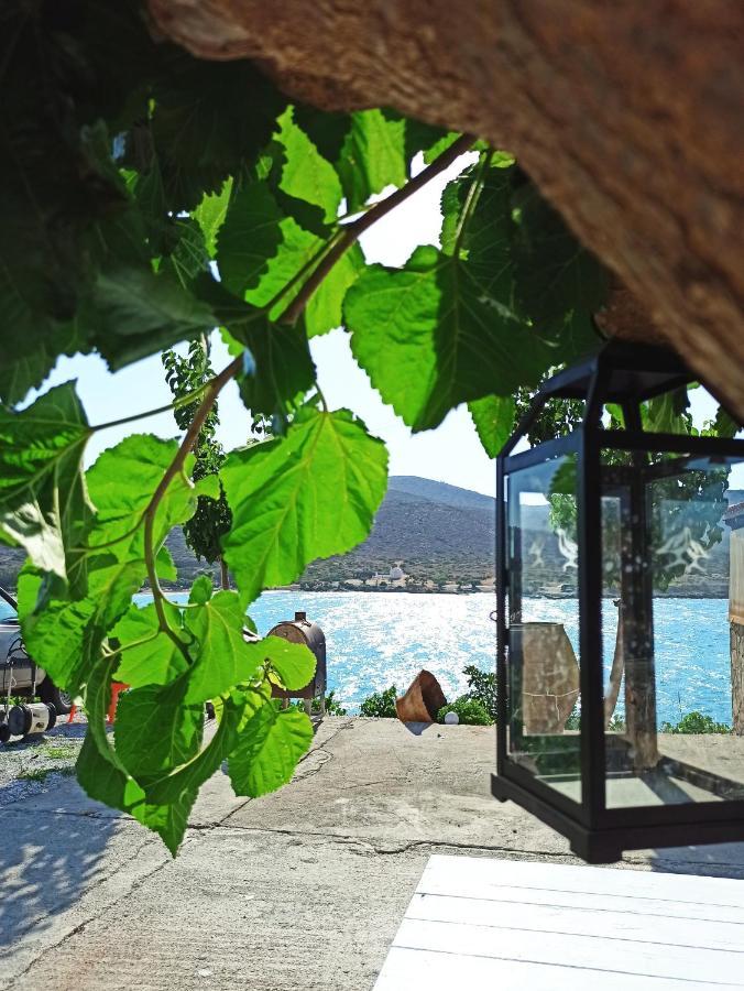 Holiday home Tholos Alexandra's Beachfront House *