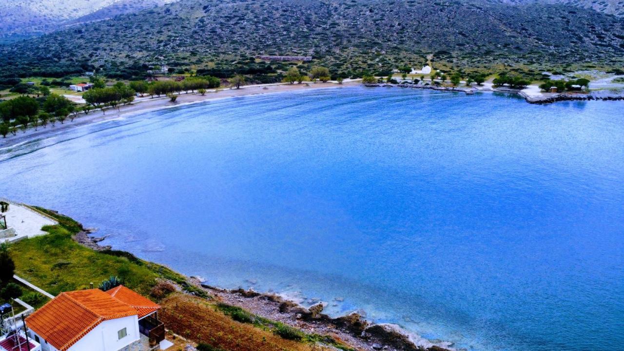Tholos Alexandra's Beachfront House *
