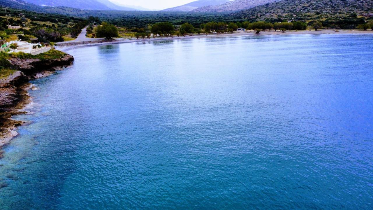 Tholos Alexandra's Beachfront House Kavousi (Lasithi)