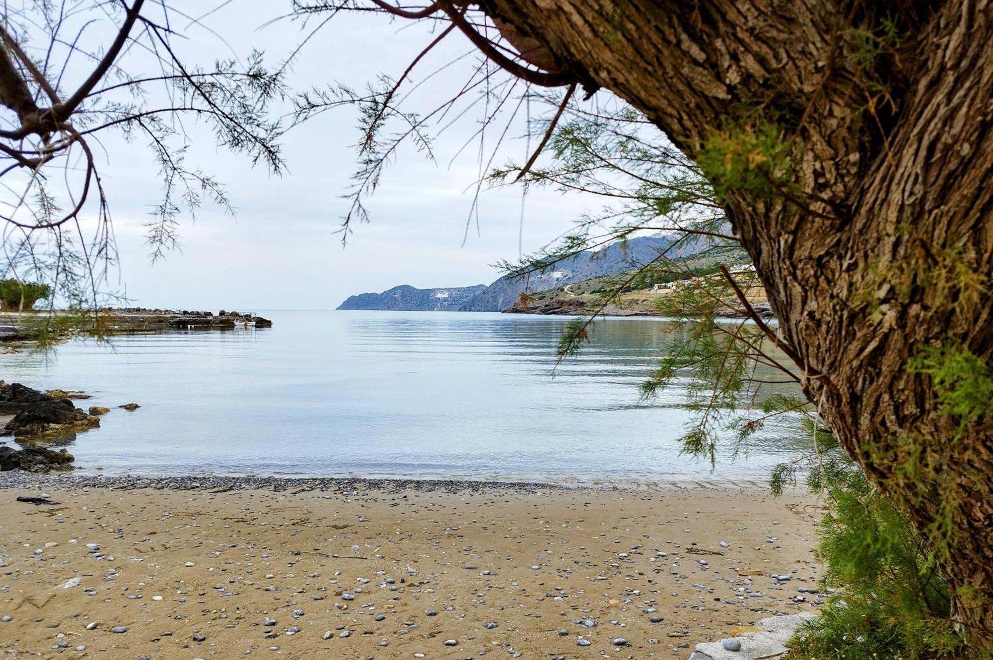 Tholos Alexandra's Beachfront House Ferienhaus