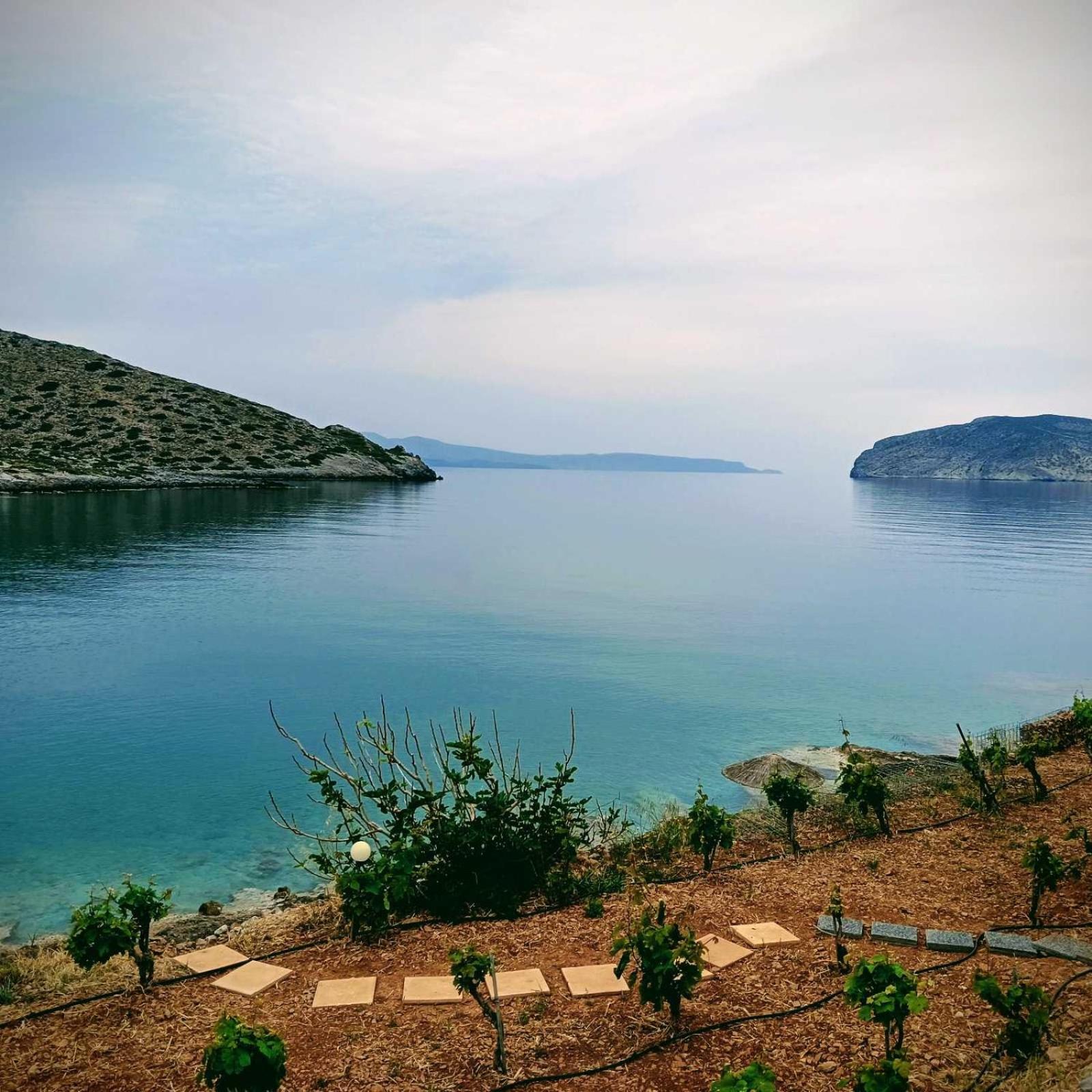 Tholos Alexandra's Beachfront House Holiday home